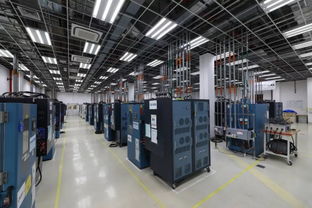 天合光能榮獲全球首家資質 技術服務驅動企業國際競爭力躍升